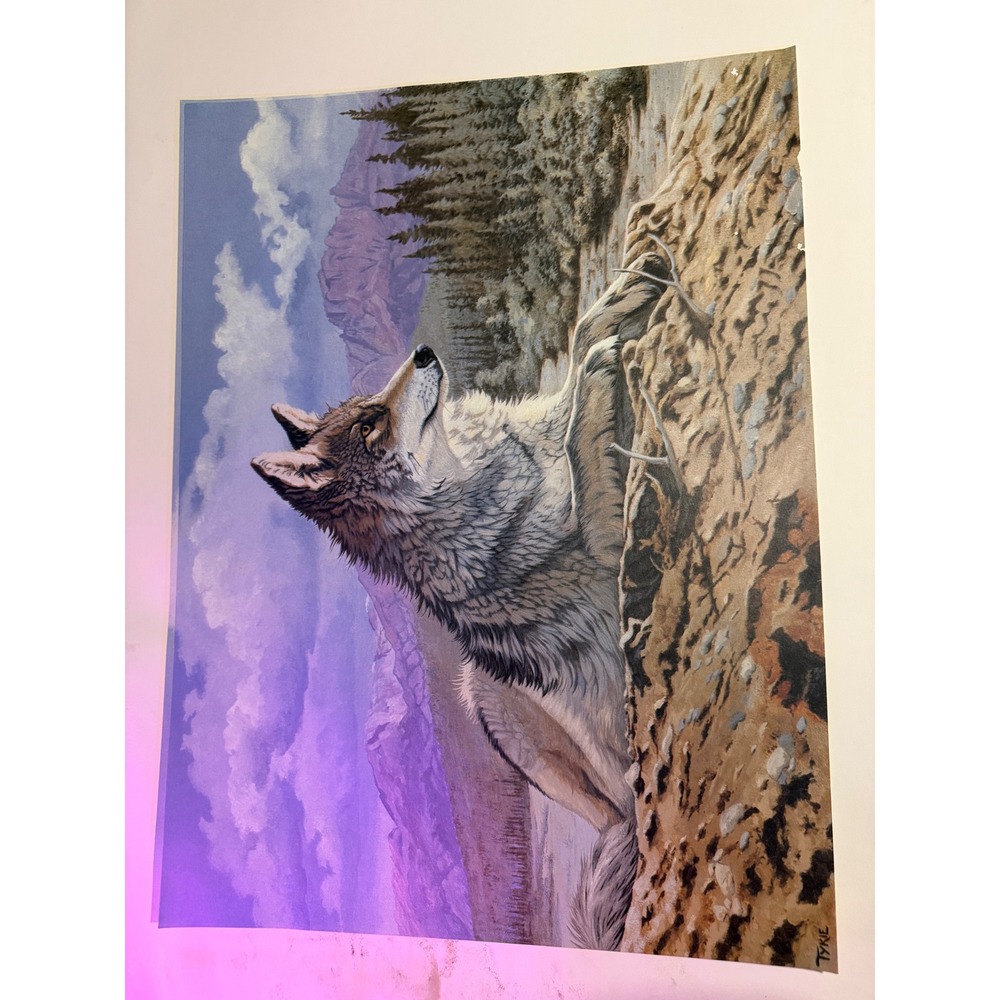 VINTAGE Tykie Wolf Art Print Unisex 24x18 Multicolor GOOD